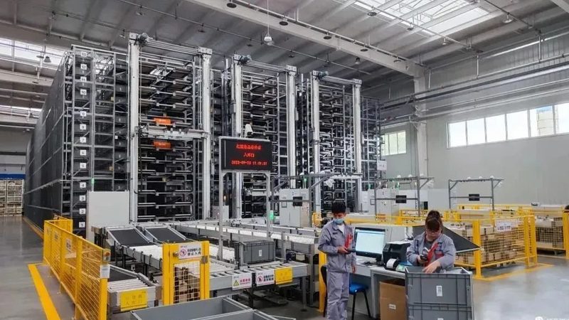 托盘购买与租赁：成本效益的数学分析